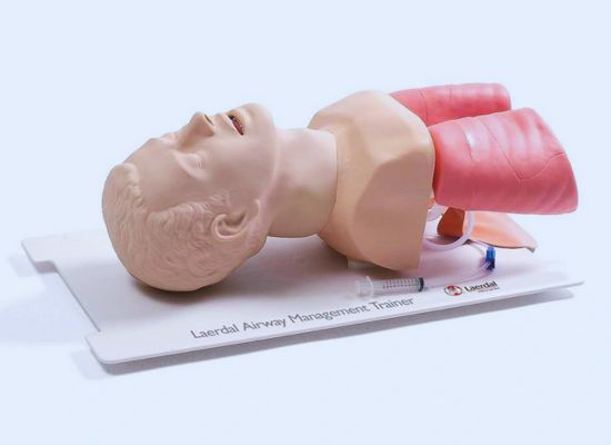 Airway Trainer